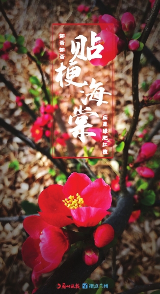 來，跟這些美美的花朵認(rèn)識一下！
