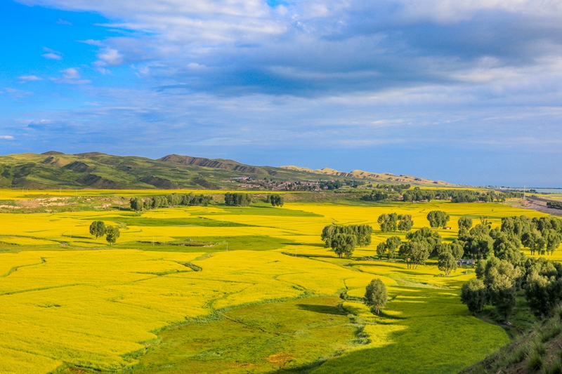 創(chuàng)意海報丨甘肅的美，你來了才知道
