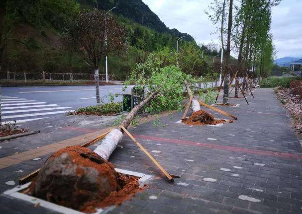 刮風(fēng)下雨加速新冠病毒傳播？別信！