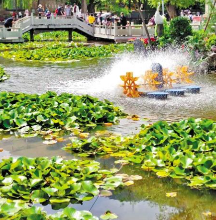 走，到五泉山公園看花展去