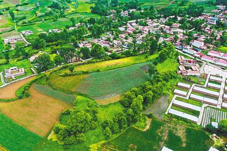 【溫暖的回響 滄桑巨變 飲水思源】這條路，通往幸福