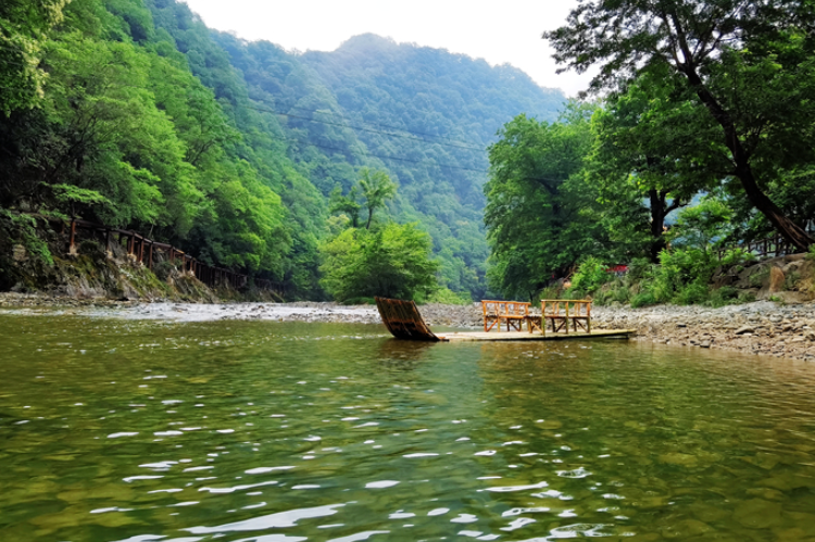 【小隴畫報·95期】康縣：來陽壩，“森”呼吸，我“氧”你