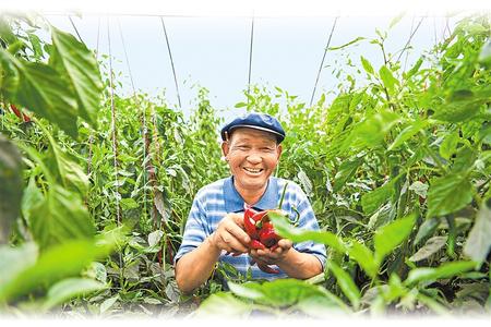綠洲崛起新家園 ——古浪縣富民新村移民搬遷脫貧紀實