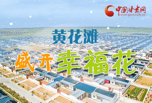 【跟著總書記看甘肅】長圖|武威黃花灘盛開幸?；?