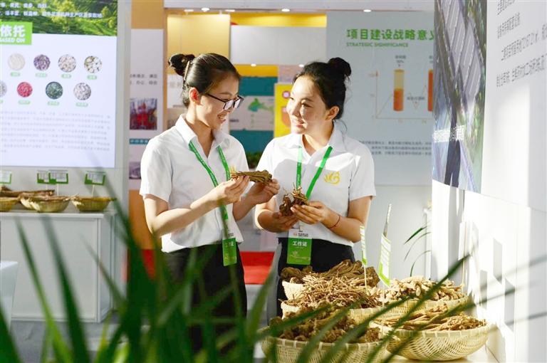 定西，從“千年藥鄉(xiāng)”邁向“中國(guó)藥都”