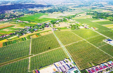 盡銳出戰(zhàn)打贏收官戰(zhàn)——鎮(zhèn)原縣脫貧攻堅工作綜述