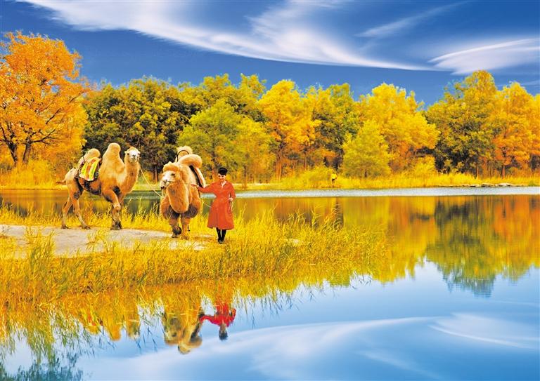 國慶長假，去金塔遇見最美胡楊