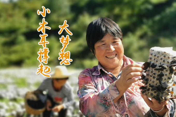 海報丨他們，乘“豐”破浪！