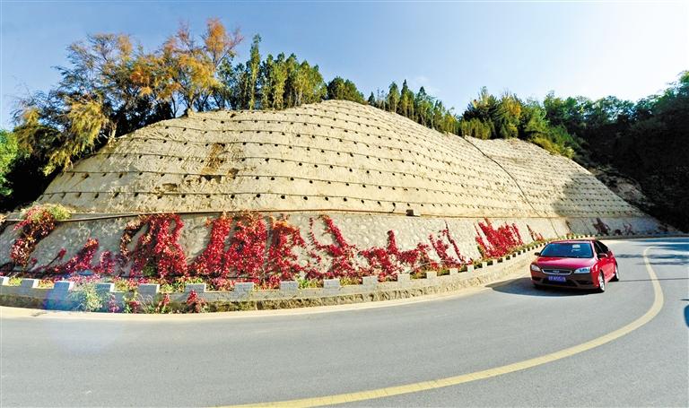 近90度陡坡上種樹！蘭州南北兩山綠化出新招