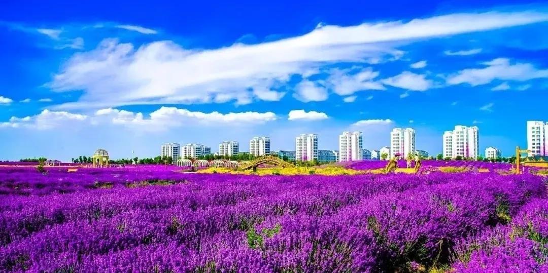 喜訊！金昌蟬聯(lián)全國(guó)文明城市