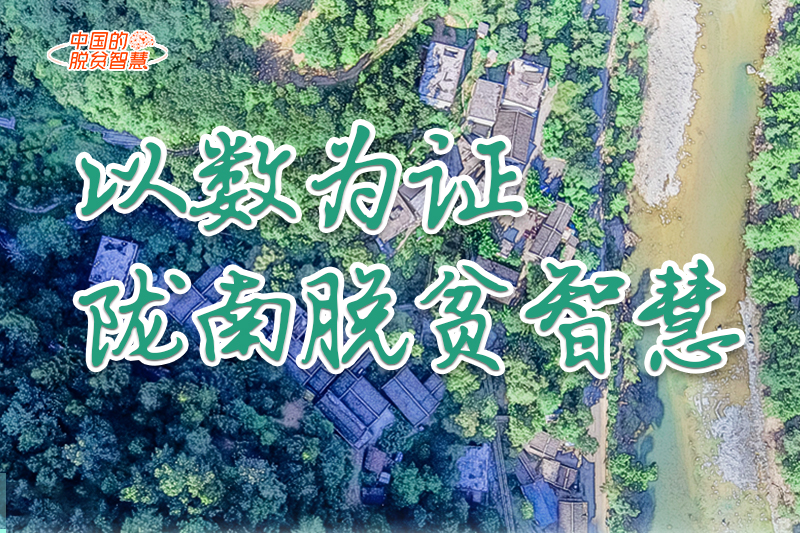 【中國的脫貧智慧】以數(shù)為證！隴南脫貧智慧來了！