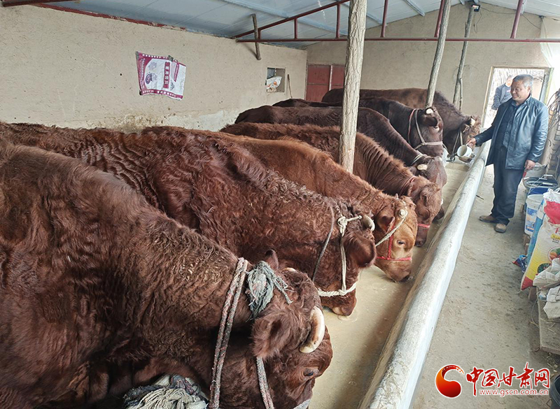 平?jīng)鰶艽ǎ骸芭！碑a(chǎn)業(yè)鋪就致富路