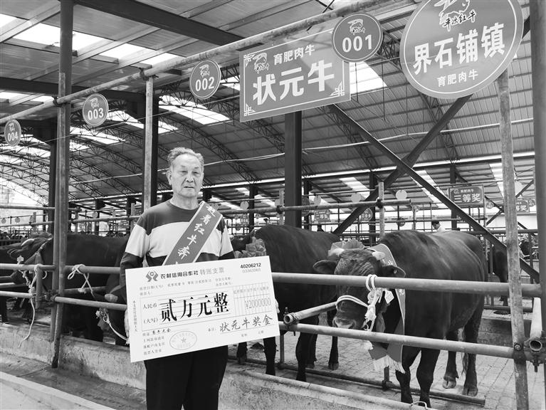 120頭“平?jīng)黾t?！膘o寧爭霸