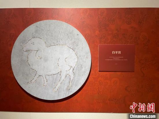 圖為展覽現(xiàn)場(chǎng)?！〗瓧顭?攝