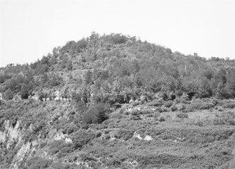 歷史眼丨張果老是正寧人？他與甘肅福緣不淺