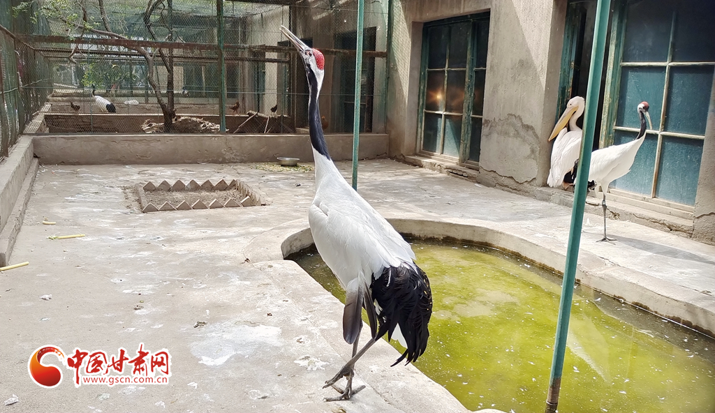 蘭州公安提醒市民：非緊急非必要，不出境
