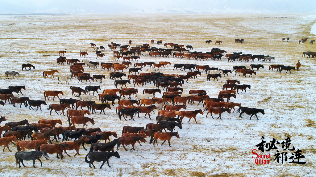 【秘境祁連·第7期】高鐵山丹站開(kāi)通 銀裝素裹美如畫(huà)