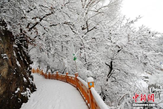 圖為上山的石階被雪覆蓋。張?zhí)鞂?攝