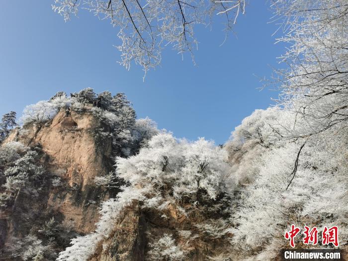 圖為藍天下霧凇籠罩山脈?！⌒煺袢A 攝