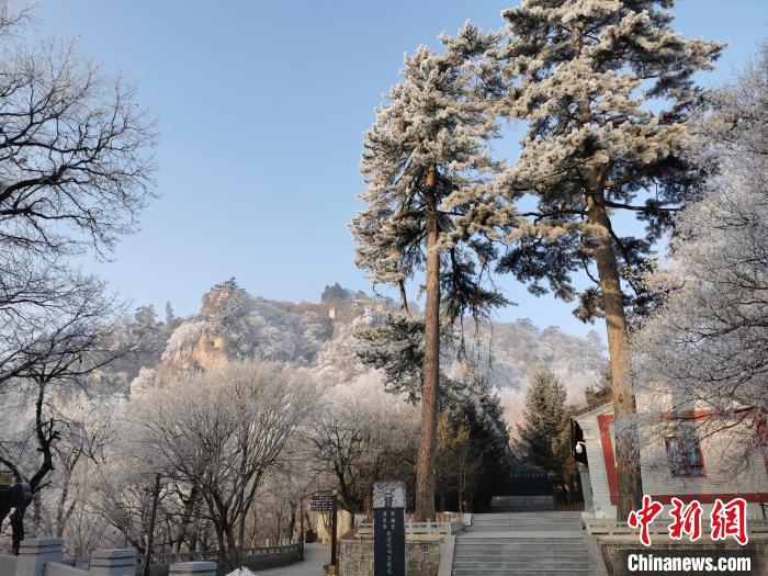 圖為崆峒山霧凇景色美不勝收?！⌒煺袢A 攝