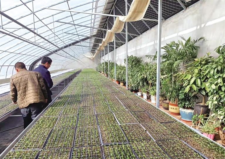 春來好時(shí)節(jié) 田間農(nóng)事忙 皋蘭縣計(jì)劃完成農(nóng)作物春播面積26萬(wàn)畝