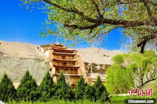 4月的敦煌莫高窟景區(qū)春意盎然。(資料圖) 王斌銀 攝