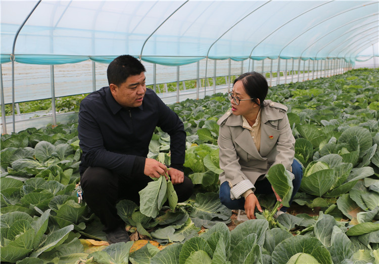 潘蕙蘭（右一）在甘肅隴之味生態(tài)農業(yè)科技有限公司走訪調研了解惠農政策落實情況。.jpg