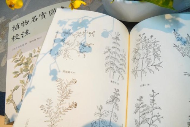 《植物名實(shí)圖考校注》內(nèi)頁。圖片來源：中華書局供圖