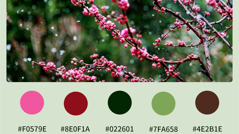 微海報|收藏！色卡里的春日甘肅