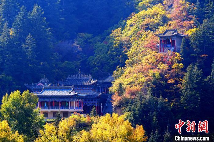 深秋，位于蘭州市榆中縣的興隆山景色如畫(huà)。宮衛(wèi)紅 攝