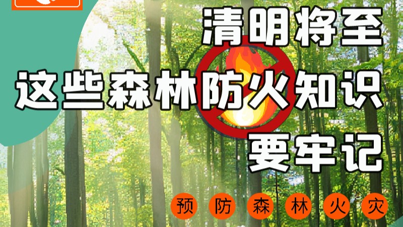 【甘快看】圖解|緊繃“安全弦”！清明，這些森林防火知識要牢記