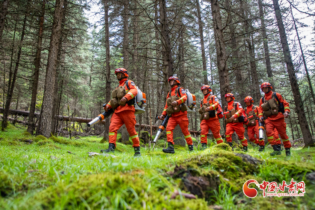 隴拍客丨張掖：“空天地”巡護(hù)讓森林防火“如虎添翼”