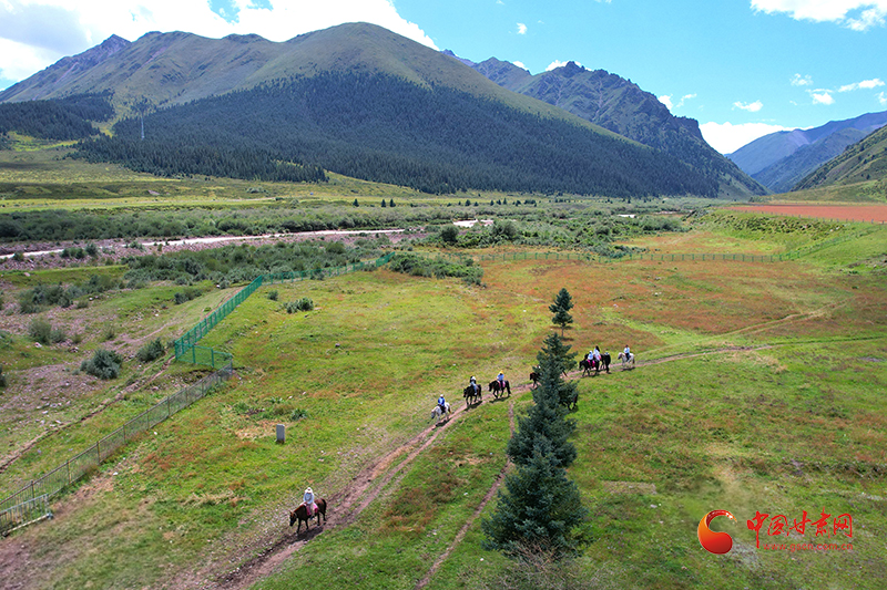 千年馬場綻新顏