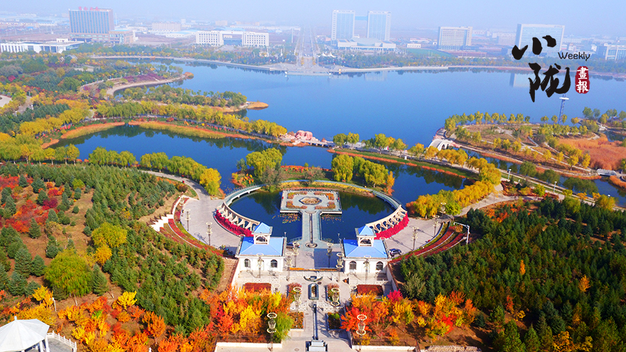 【優(yōu)化營(yíng)商環(huán)境三年行動(dòng)】金昌“23條”+“服務(wù)卡” 打造暖心營(yíng)商新生態(tài)