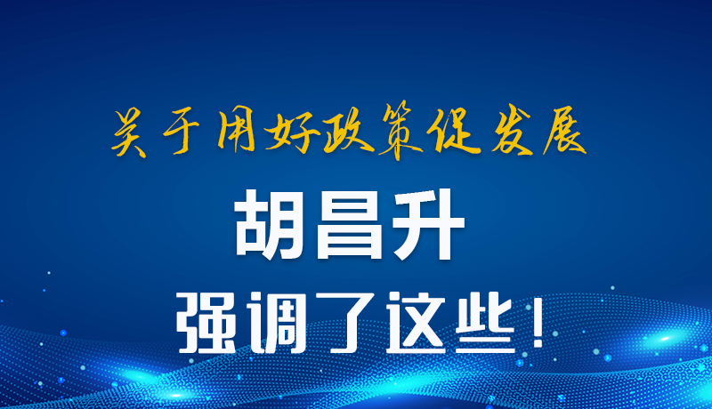 圖解|關(guān)于用好政策促發(fā)展 胡昌升強(qiáng)調(diào)了這些！
